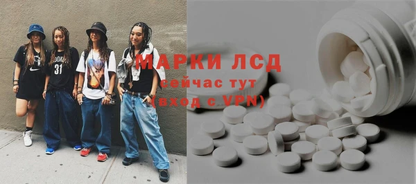 тгк Новодвинск