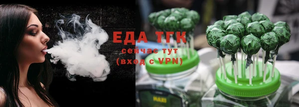 тгк Новодвинск