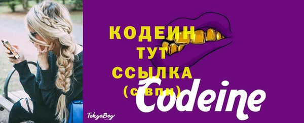 стафф Чекалин
