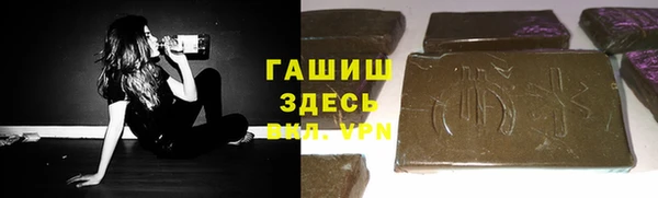 соль ск Новозыбков