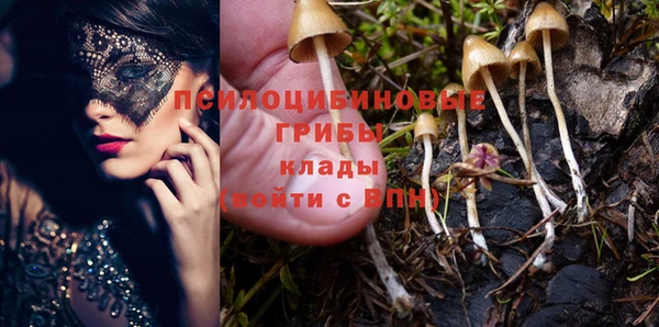 соль ск Новозыбков