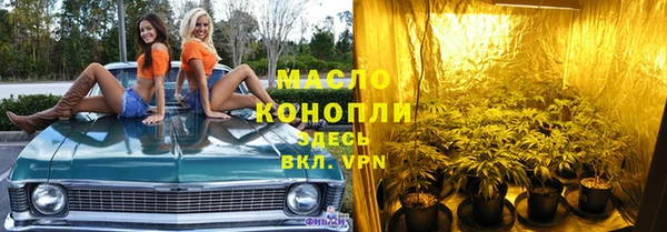 соль ск Новозыбков
