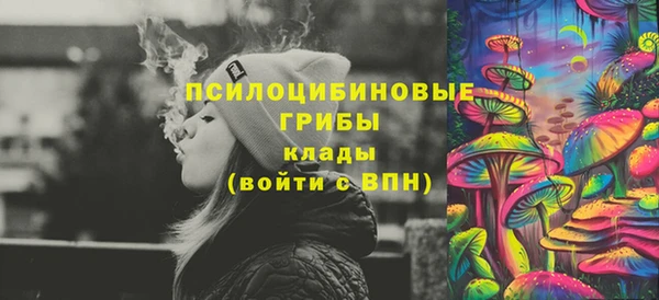 тгк Новодвинск
