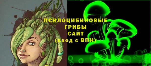 винт Богданович