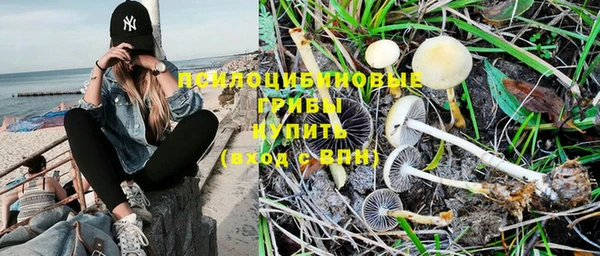 бошки Нягань