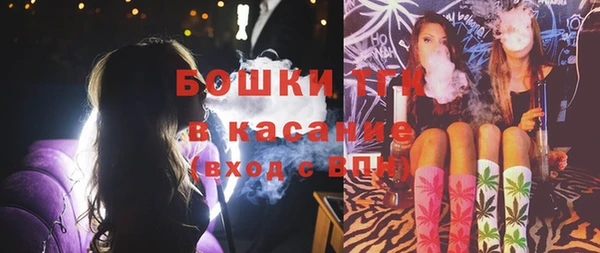 молекула духа Новокубанск