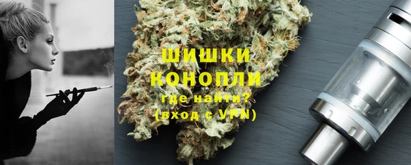 тгк Новодвинск